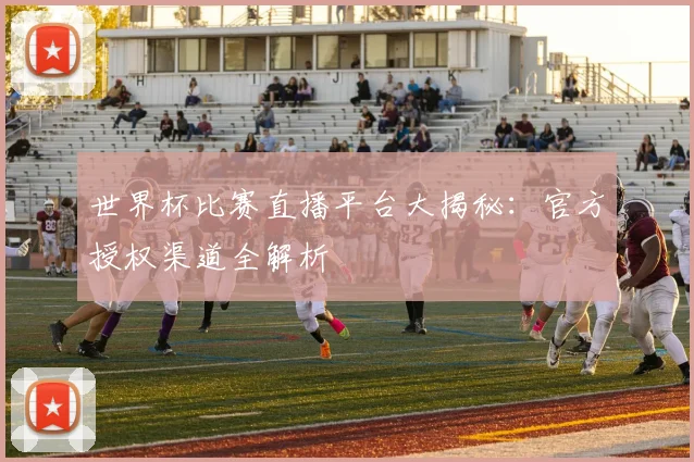 世界杯比赛直播平台大揭秘：官方授权渠道全解析