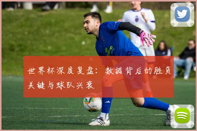 世界杯深度复盘：数据背后的胜负关键与球队兴衰