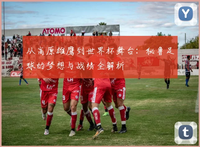 从高原雄鹰到世界杯舞台：秘鲁足球的梦想与战绩全解析