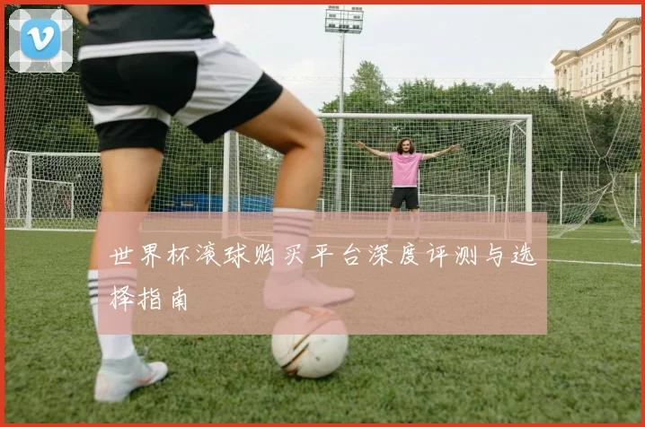 世界杯滚球购买平台深度评测与选择指南