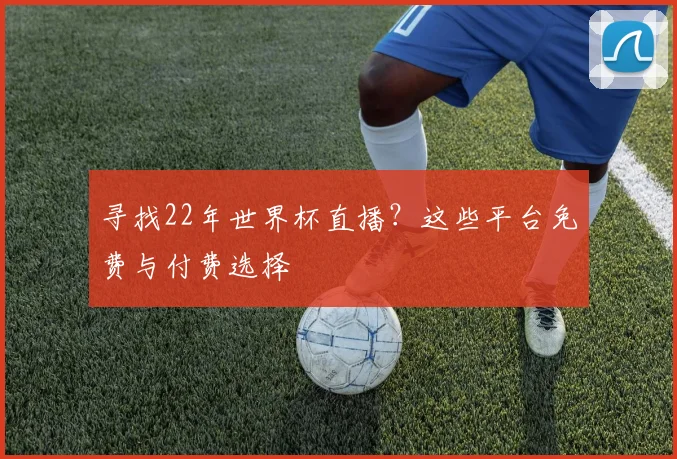 寻找22年世界杯直播?这些平台免费与付费选择