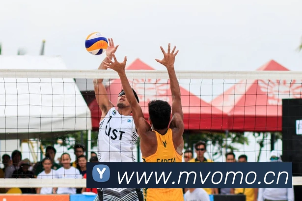 乐鱼官网首页登录入口服务体系